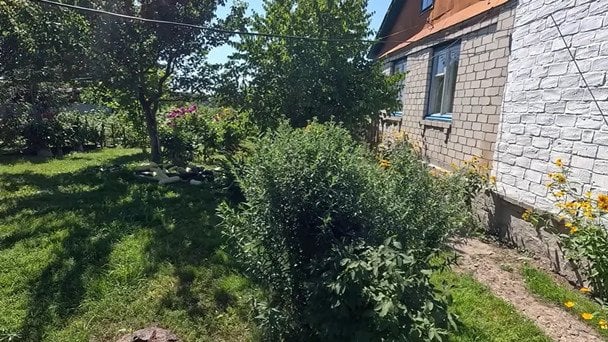  / © скриншот з відео