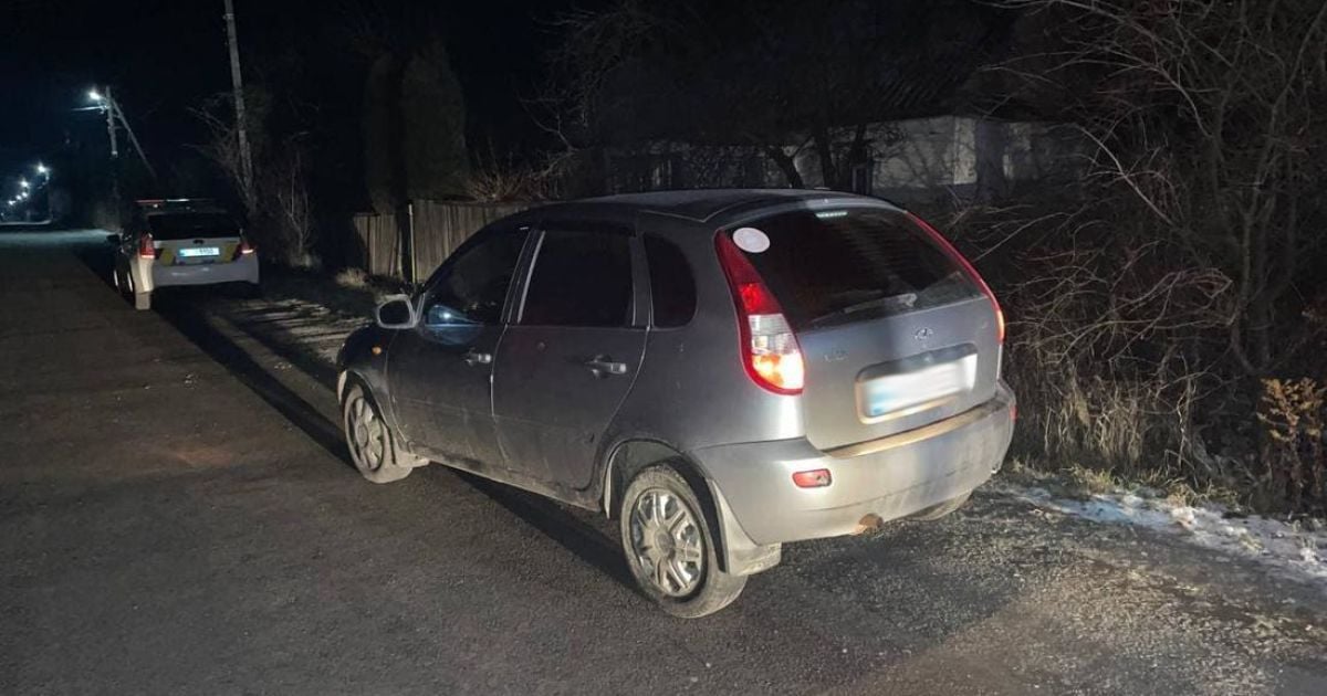 У Житомирській області п’яний водій збив дитину