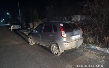 У Житомирській області п’яний водій збив дитину