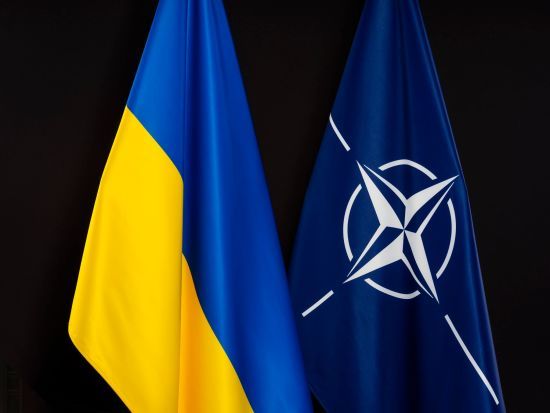 Мешканець Харківщини запропонував НАТО в довічне користування свою земельну ділянку: фото заяви