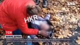 Новини України: у дитсадку Полтавської області дерево впало на хлопчика та дівчинку