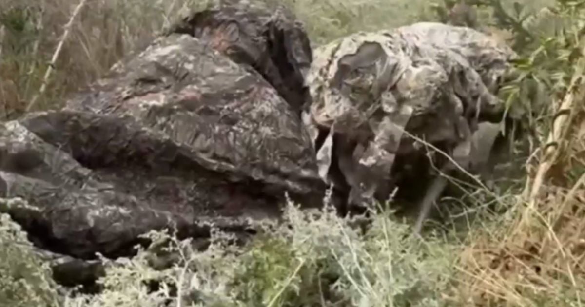 Боевой наземный робот "Хунт"