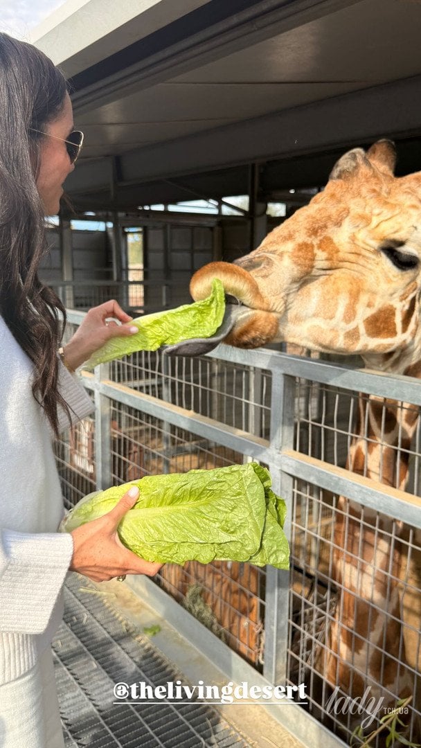 Меган Маркл / © Меган Маркл/Instagram