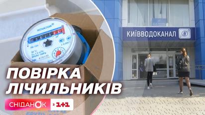 Как часто надо проверять счетчики воды и кто по закону должен оплачивать услуги