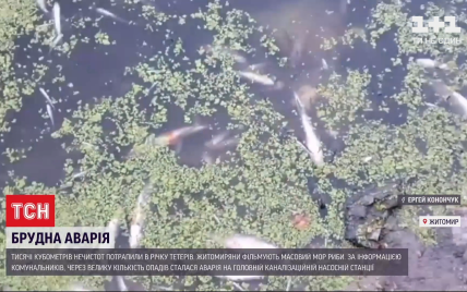 Через аварію колектора на річці Тетерів екологи забороняють купатись і риболовлю: є загроза і Дніпру