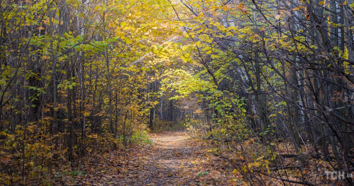 Гороскоп на 19 вересня для всіх знаків зодіаку: день, коли потрібно тримати себе в руках
