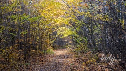 Осінній парк