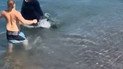 Турист пытался подраться с морским львом