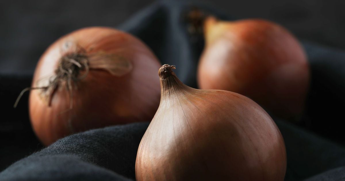 Яка цибуля найкраща для салатів