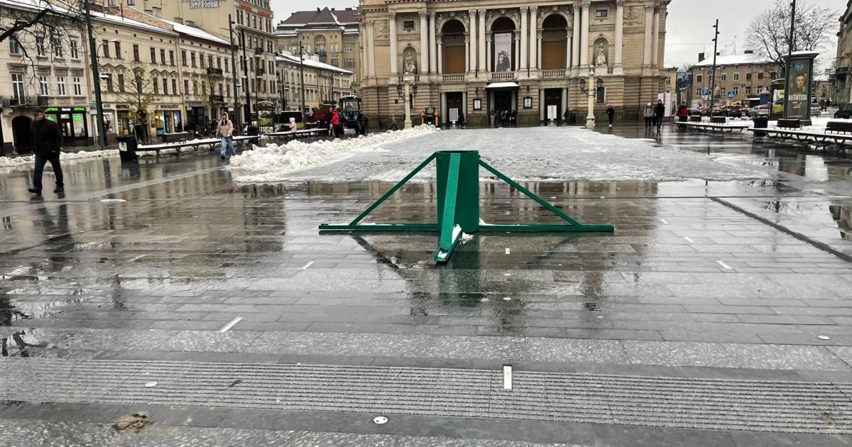 В центре Львова установят новогоднюю елку