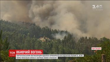 Португальським вогнеборцям майже вдалося приборкати масштабну лісову пожежу