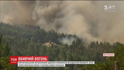 Португальским пожарным почти удалось обуздать масштабный лесной пожар
