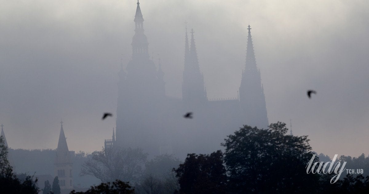 Гороскоп на 23-28 лютого 2026 року