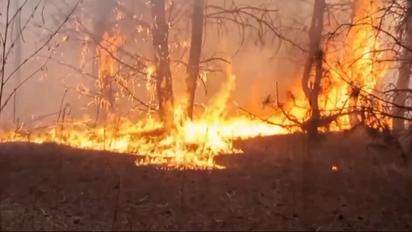 8 заповідників і 10 нацпарків опинилися в окупації