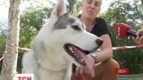 В Одессе провели марафон для собак, чтобы спасти животных от гиподинамии