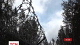 Латвия отчитывается о строительстве первого участка забора на границе с Россией