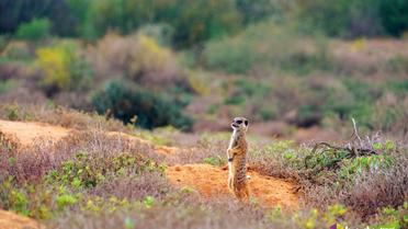 ПАР, Bodo Travel_9