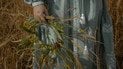 Всесвітній день вишиванки 2026 року