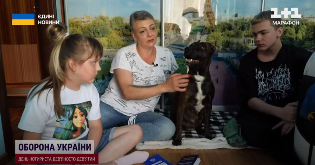 Наталья Николаева никак не насладится, ведь это собака ее сына Дмитрия Селютина