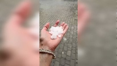 Повалені дерева, сильні злива та величезний град: Україну накрила негода