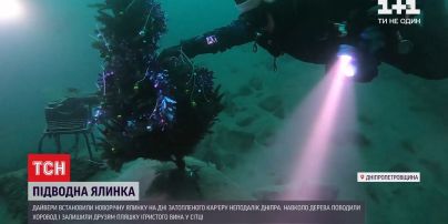 Старый Новый год под водой: дайверы установили елку на дне затопленного карьера
