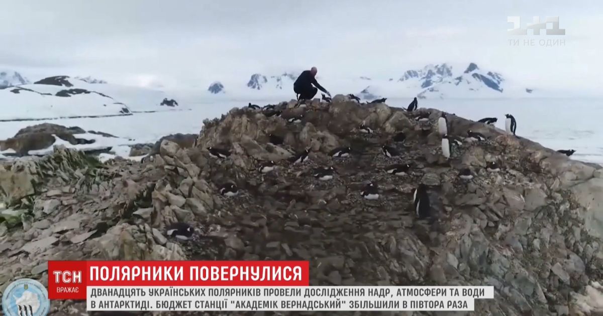 12 українських полярників провели дослідження надр, атмосфери та води в Антарктиді