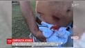 В Австралии кенгуру атакуют туристов из-за неправильного рациона