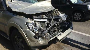 В'ячеслав Узєлков збив лося_1 / © Антон Страшко / ТСН