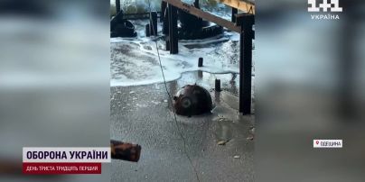 Мощный взрыв в Одесской области: во время воздушной тревоги саперы уничтожили морскую мину