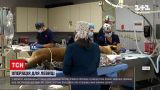 Новости мира: в зверинце американской Миннесоты успешно прооперировали львицу