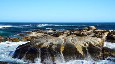 ПАР, Bodo Travel_28