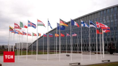 Украине могут предложить членство в НАТО