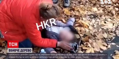 Новости Украины: в детском саду Полтавской области дерево упало на мальчика и девочку