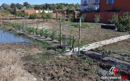 В Николаеве прорвало канализационный коллектор: нечистотами затопило дворы домов