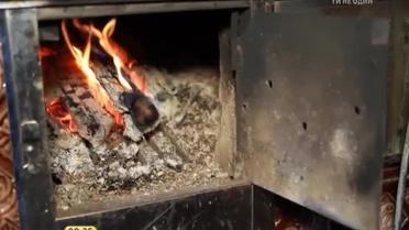 Карпаты - почти тысячу метров над уровнем моря, где ближайшие соседи - ели