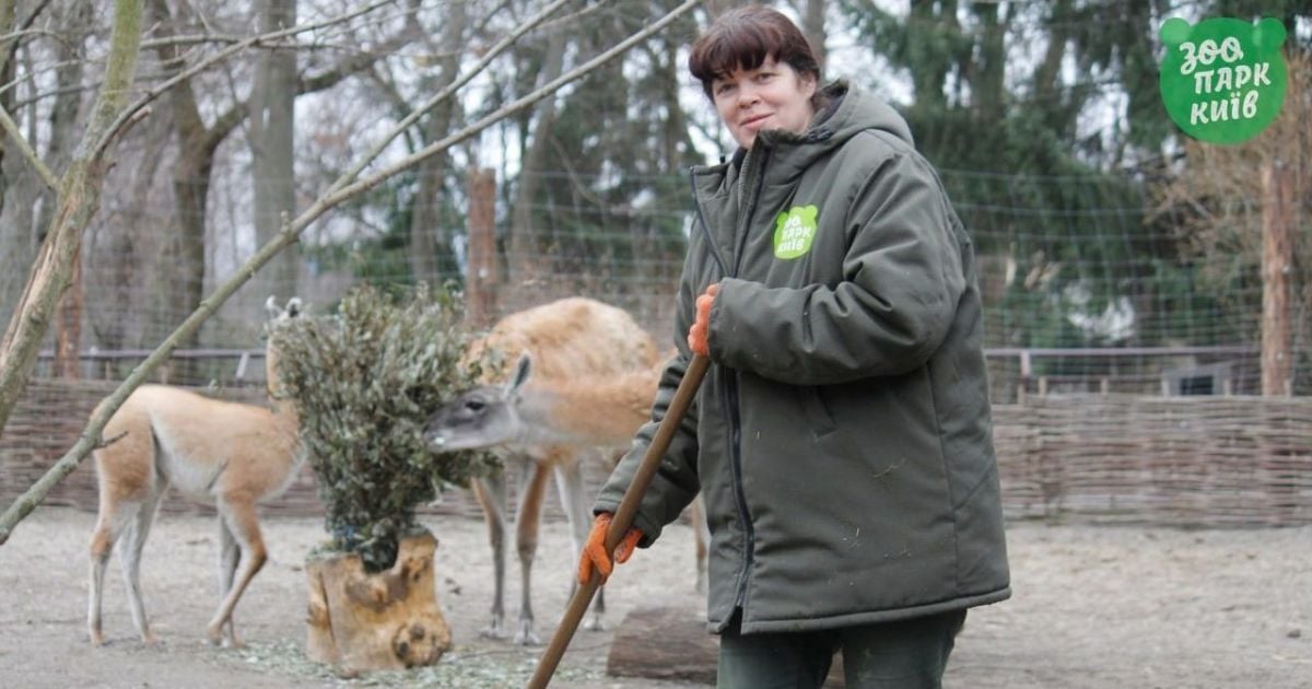 У Київському зоопарку за час війни народились двоє козенят та двоє котячих лемурів