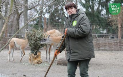 В Киевском зоопарке за время войны родились двое козлят и двое кошачьих лемуров