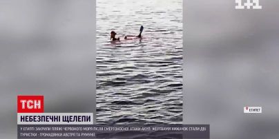 В Египте акулы убили двух туристок – пляжи Красного моря закрыты