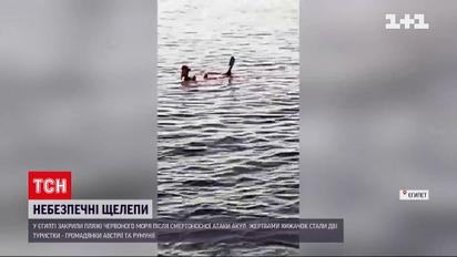 У Єгипті акули вбили двох туристок – пляжі Червоного моря закриті