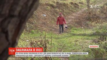 На Львовщине бабушка пошла по грибы и двое суток блуждала в лесу