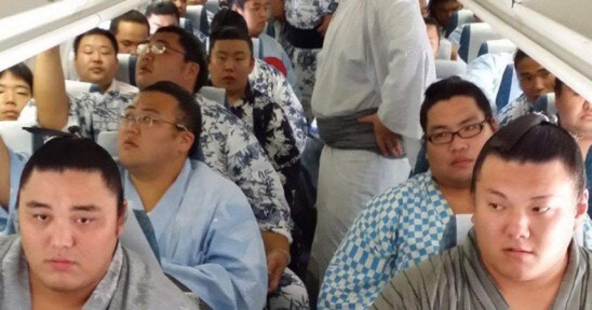 Борцы сумо на борту самолета / Фото: @hakkakubeya/Twitter