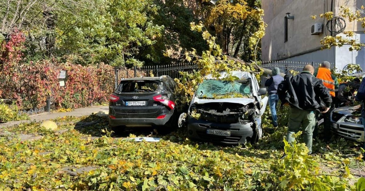 В Одесі вітер повалив дерева: розбиті машини та постраждалий чоловік (фото, відео)