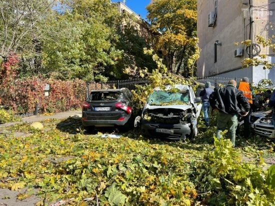 В Одесі вітер повалив дерева: розбиті машини та постраждалий чоловік (фото, відео)