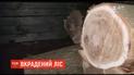 На Житомирщині затримали двоє молодиків, які зрізали і намагалися вивезти 11 сторічних дубів