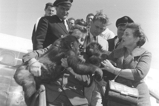 Фату знайшли 1959 року / © Guinness World Records