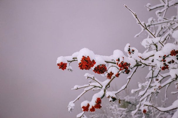 Народні прикмети 18 січня / © pexels.com