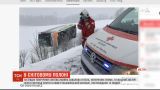 В Австрії через снігопад злетів у кювет пасажирський автобус, постраждали 13 людей
