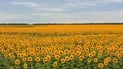 Свята у серпні 2026 року