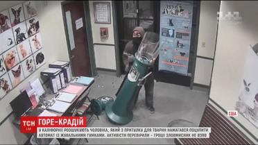У Каліфорнії чоловік намагався вкрасти автомат із жувальними гумками з притулку для тварин