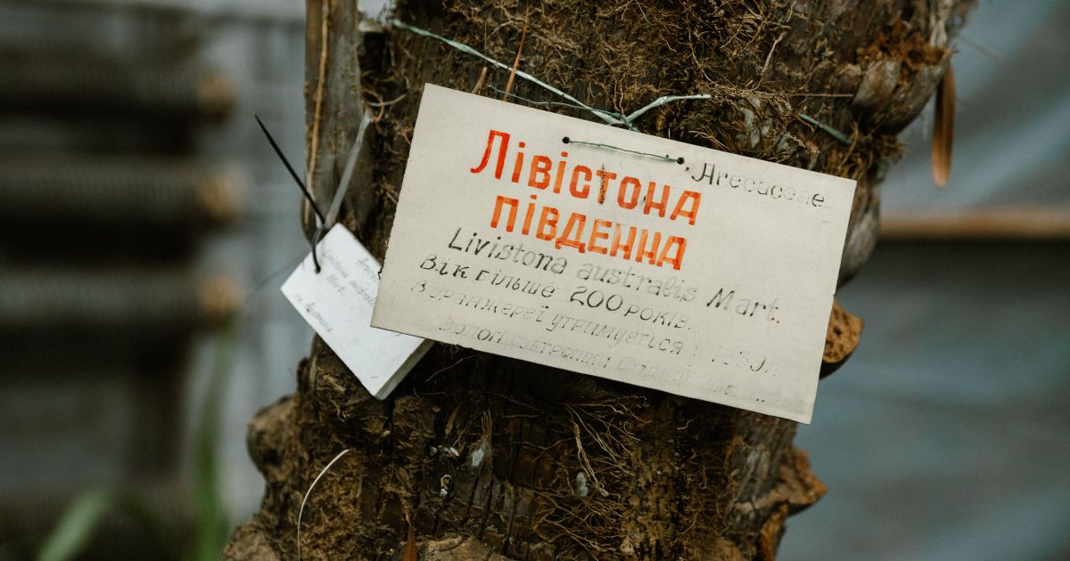 У Києві відкрили 30-ту міні-скульптуру проєкту "Шукай"_4